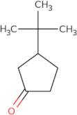 3-(tert-Butyl)cyclopentanone