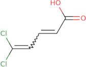 5,5-Dichloropenta-2,4-dienoic acid