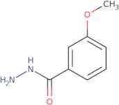 3-Methoxybenzohydrazide