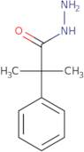 2-Methyl-2-phenylpropanehydrazide