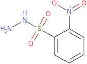 2-Nitrobenzene-1-sulfonohydrazide