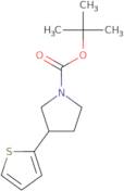 Tert-Butyl 3-(Thiophen-2-Yl)Pyrrolidine-1-Carboxylate