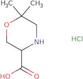 6,6-Dimethyl-morpholine-3-carboxylic acid hydrochloride