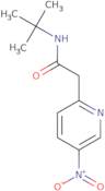 N-tert-Butyl-2-(5-nitropyridin-2-yl)acetamide