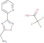{[3-(2-Pyridinyl)-1,2,4-oxadiazol-5-yl]methyl}amine trifluoroacetate