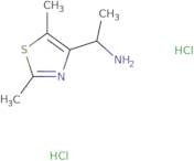 [1-(2,5-Dimethyl-1,3-thiazol-4-yl)ethyl]amine dihydrochloride