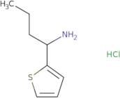 1-(Thiophen-2-yl)butan-1-amine HCl