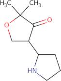 2,2-Dimethyl-4-pyrrolidin-2-yloxolan-3-one