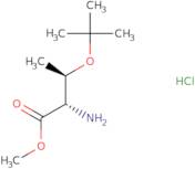 o-tert-Butyl-L-threoine methyl ester HCl