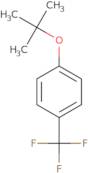 1-(tert-Butoxy)-4-trifluoromethylbenzene