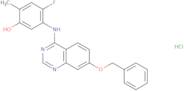 5-[(7-Benzyloxyquinazolin-4-yl)amino]-4-fluoro-2-methylphenol hydrochloride