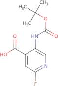 5-tert-Butoxycarbonylamino-2-fluoroisonicotinic acid