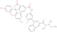 N-Butan-2-Yl-1-[5-[(3',6'-Dihydroxy-3-Oxospiro[2-Benzofuran-1,9'-Xanthene]-5-Carbonyl)Amino]-2-Fluorophenyl]-N-Methylisoquinoline-3- Carboxamide