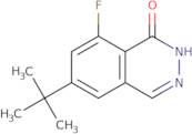 6-tert-butyl-8-fluoro-2h-phthalazin-1-one