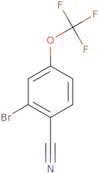 2-bromo-4-(trifluoromethoxy)benzonitrile