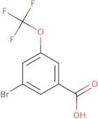 3-bromo-5-(trifluoromethoxy)benzoic Acid