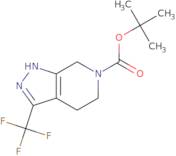 Tert-butyl 3-(trifluoromethyl)-1,4,5,7-tetrahydropyrazolo[3,