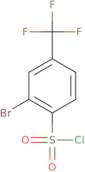 2-bromo-4-(trifluoromethyl)benzenesulfonyl Chloride