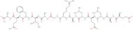 Brain Injury Derived Neurotrophic Peptide