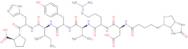 Biotinyl-Angiotensin I/II (1-7) Biotinyl-Asp-Arg-Val-Tyr-Ile-His-Pro-OH