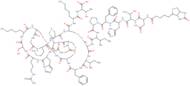 Biotinyl-Hepcidin-25 (human) trifluoroacetate salt