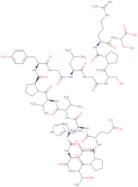 Big Endothelin-1 fragment (22-38) (human)