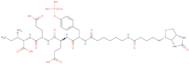 Biotinyl-ε-aminocaproyl-Tyr(PO3H2)-Glu-Glu-Ile-OH