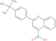 2-(4-tert-Butylphenyl)quinoline-4-carboxylic acid