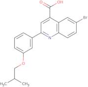 6-Bromo-2-(3-isobutoxyphenyl)quinoline-4-carboxylic acid