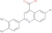 6-Bromo-2-(3,4-dimethylphenyl)quinoline-4-carboxylic acid