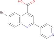 6-Bromo-2-pyridin-4-ylquinoline-4-carboxylic acid