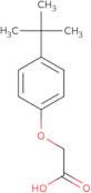 (4-tert-Butylphenoxy)acetic acid