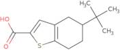 5-tert-Butyl-4,5,6,7-tetrahydro-1-benzothiophene-2-carboxylic acid