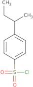 4-sec-Butylbenzenesulfonyl chloride