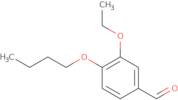 4-Butoxy-3-ethoxybenzaldehyde