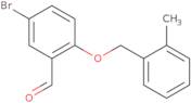 5-Bromo-2-[(2-methylbenzyl)oxy]benzaldehyde