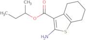 sec-Butyl 2-amino-4,5,6,7-tetrahydro-1-benzothiophene-3-carboxylate