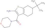 6-tert-Butyl-3-(morpholin-4-ylcarbonyl)-4,5,6,7-tetrahydro-1-benzothien-2-ylamine