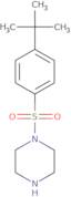 1-[(4-tert-Butylphenyl)sulfonyl]piperazine