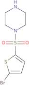 1-[(5-Bromothien-2-yl)sulfonyl]piperazine