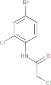 N-(4-Bromo-2-chlorophenyl)-2-chloroacetamide