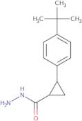 2-(4-tert-Butylphenyl)cyclopropanecarbohydrazide