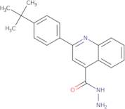 2-(4-tert-Butylphenyl)quinoline-4-carbohydrazide