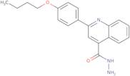 2-(4-Butoxyphenyl)quinoline-4-carbohydrazide