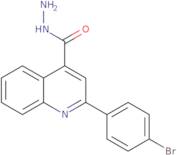 2-(4-Bromophenyl)quinoline-4-carbohydrazide