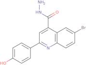 6-Bromo-2-(4-hydroxyphenyl)quinoline-4-carbohydrazide