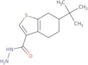 6-tert-Butyl-4,5,6,7-tetrahydro-1-benzothiophene-3-carbohydrazide