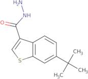 6-tert-Butyl-1-benzothiophene-3-carbohydrazide