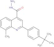 2-(4-tert-Butylphenyl)-8-methylquinoline-4-carbohydrazide