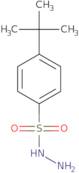 4-tert-Butylbenzenesulfonohydrazide